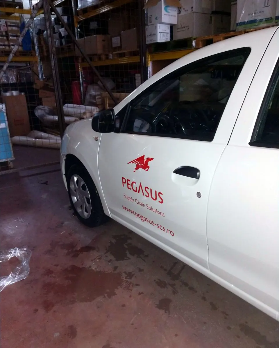 Colantare flota auto — Pegasus